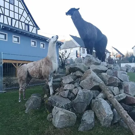 Allerhand Gaestezimmer Nocleg ze śniadaniem *