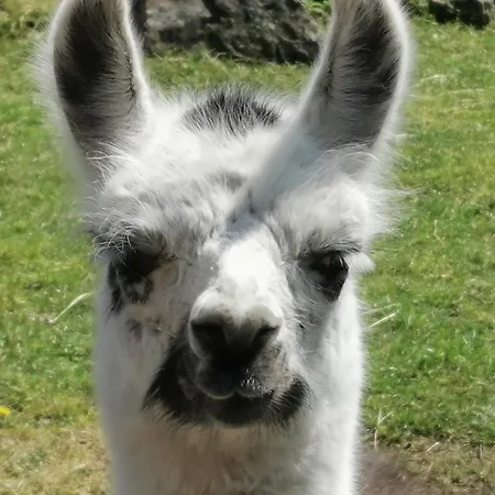 Allerhand Gaestezimmer Nocleg ze śniadaniem Nohen