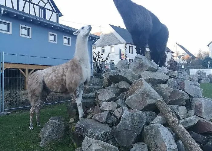 Allerhand Gaestezimmer 住宿加早餐酒店 *