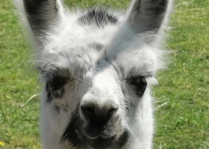 Allerhand Gaestezimmer 住宿加早餐酒店 Nohen